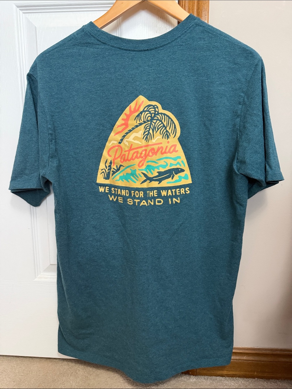 Patagonia Teal Short-Sleeve Graphic Tee - M